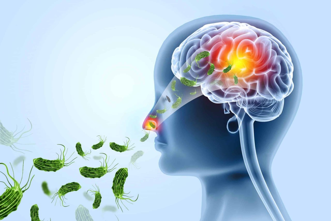 ameba-devoradora-de-cerebros-e-encontrada-em-agua-na-australia