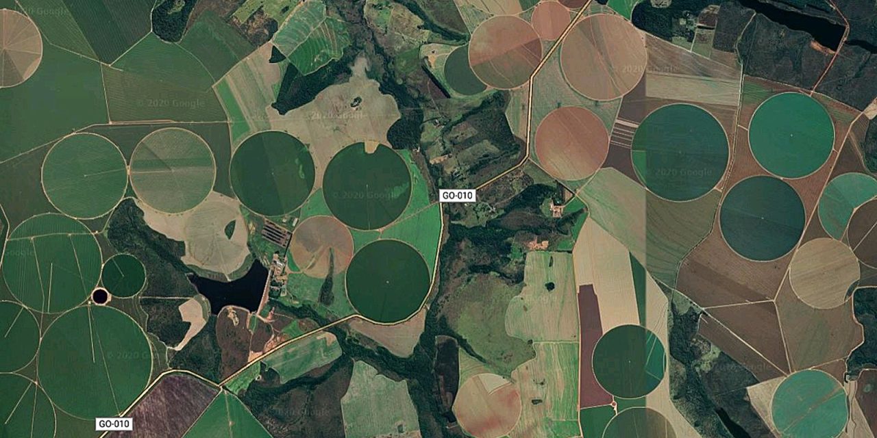 suspensao-da-moratoria-da-soja-pelo-cade-preocupa-meio-ambiente