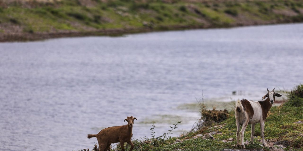 aguas-do-rio-sao-francisco-chegam-ao-rio-grande-do-norte
