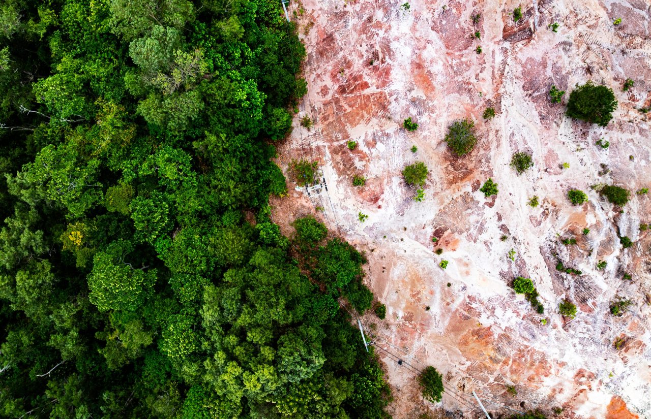 extincao-da-amazonia-pode-comecar-ainda-neste-seculo