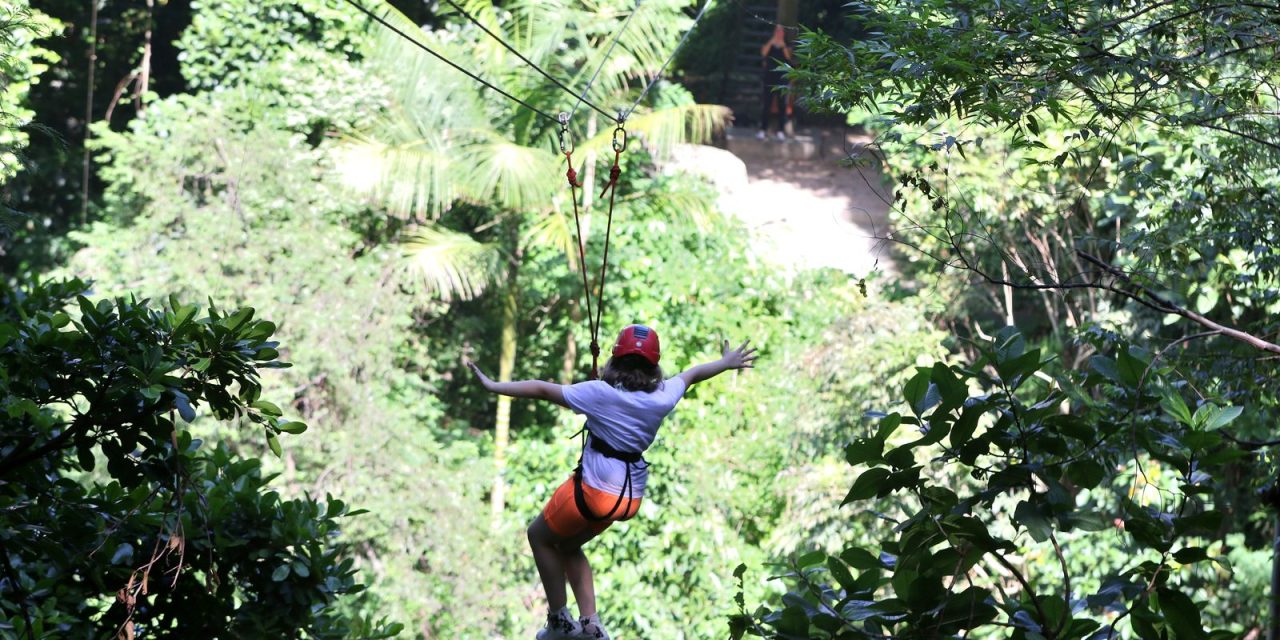 gestores-aprovam-modelo-de-concessao-de-parques-naturais-e-urbanos