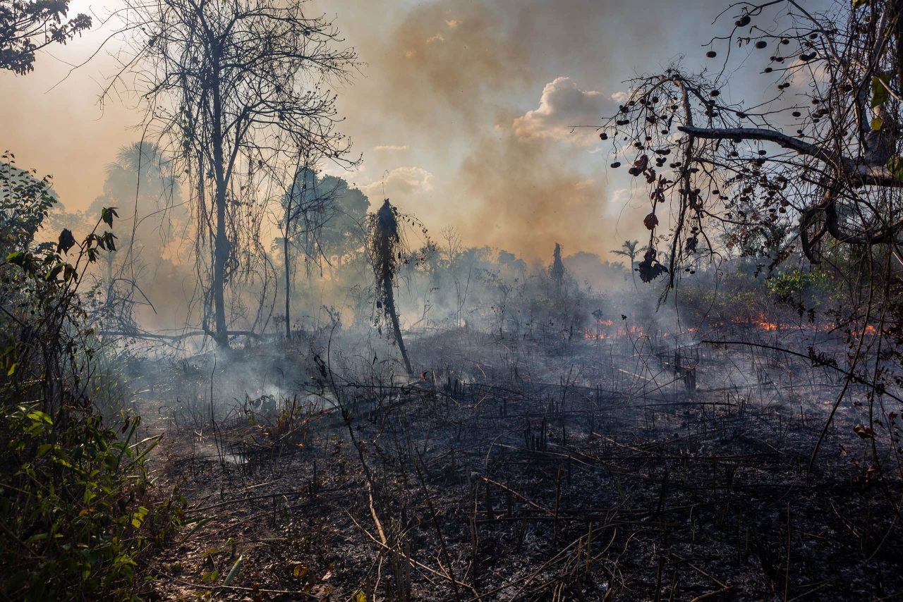 exclusivo:-“amazonia-esta-a-beira-do-precipicio”,-alerta-carlos-nobre