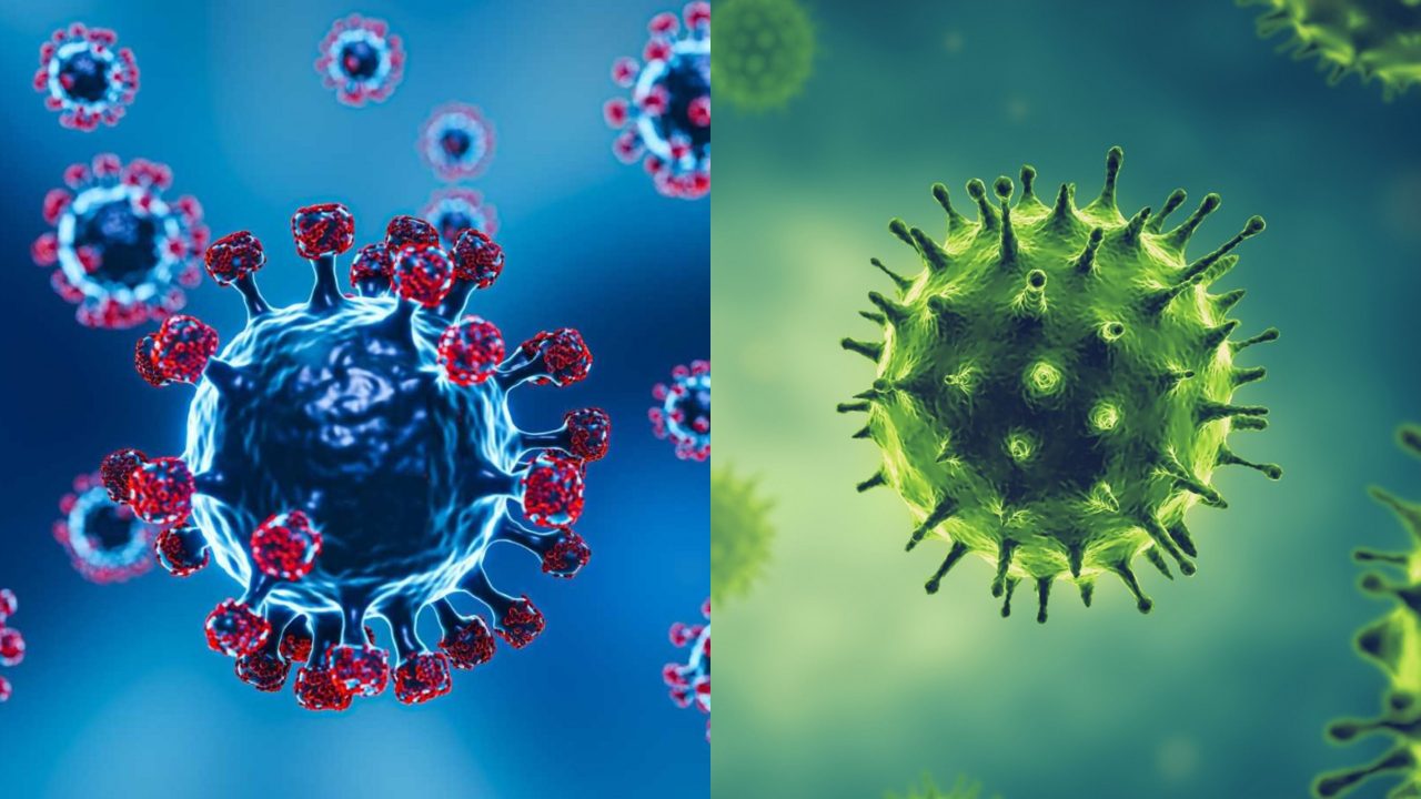 influenza-e-covid:-pesquisadora-da-fiocruz-responde-duvidas-sobre-os-virus