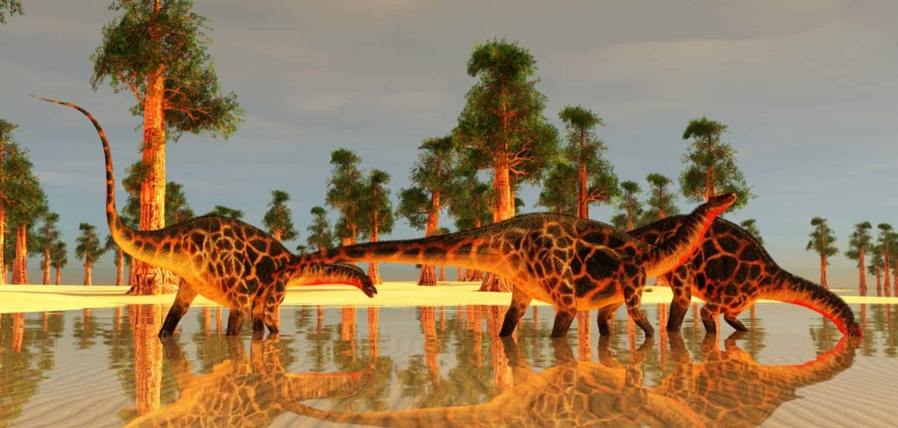 os-dinossauros-podiam-abanar-o-rabo-igual-cachorrinhos?