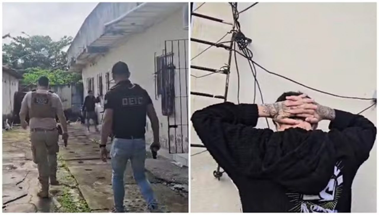 acusado-de-ameacar-o-youtuber-felca-usava-o-telegram-para-anunciar-servicos-criminosos