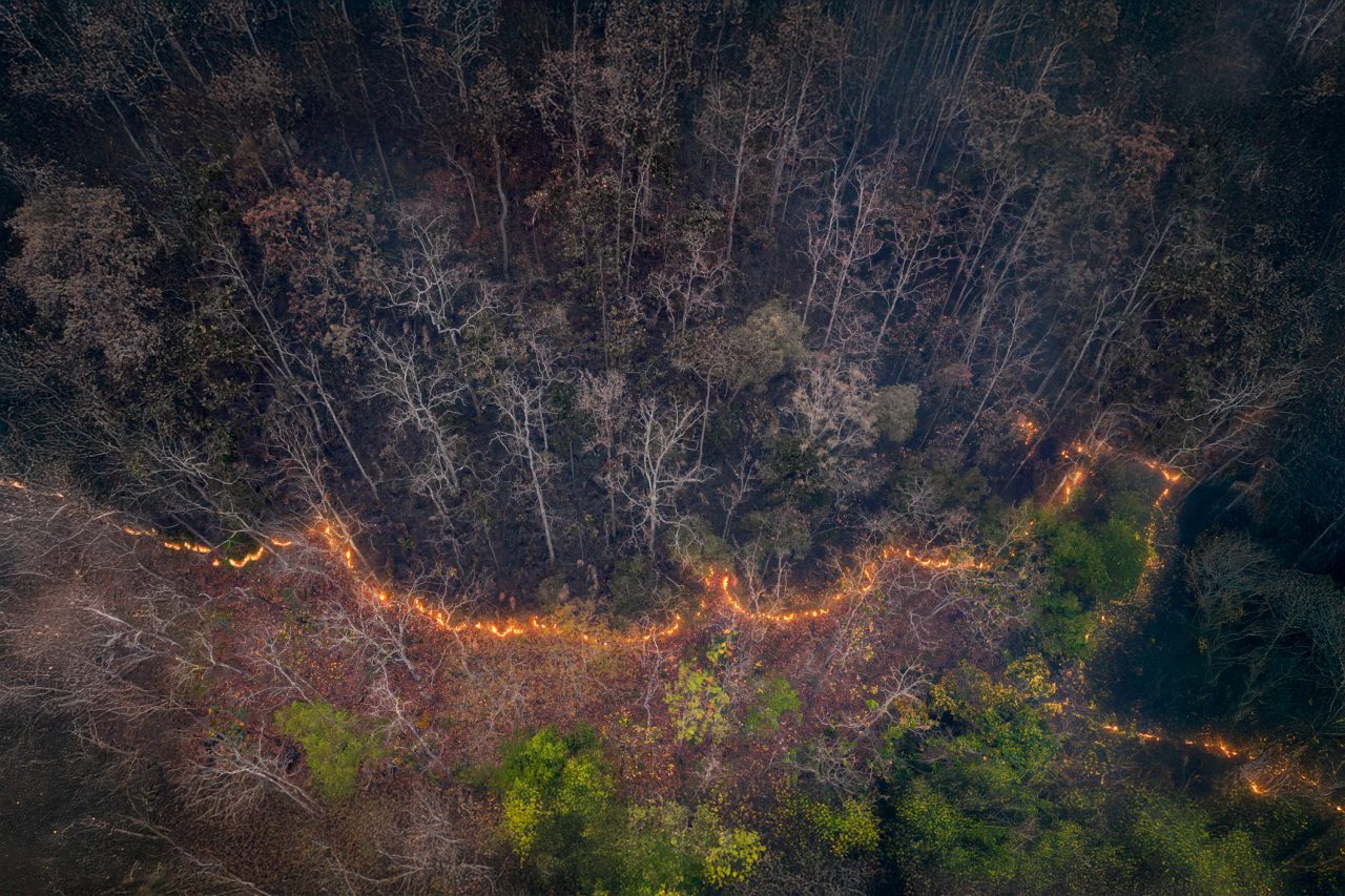 calor-gerado-por-desmatamento-causa-28-mil-mortes-por-ano