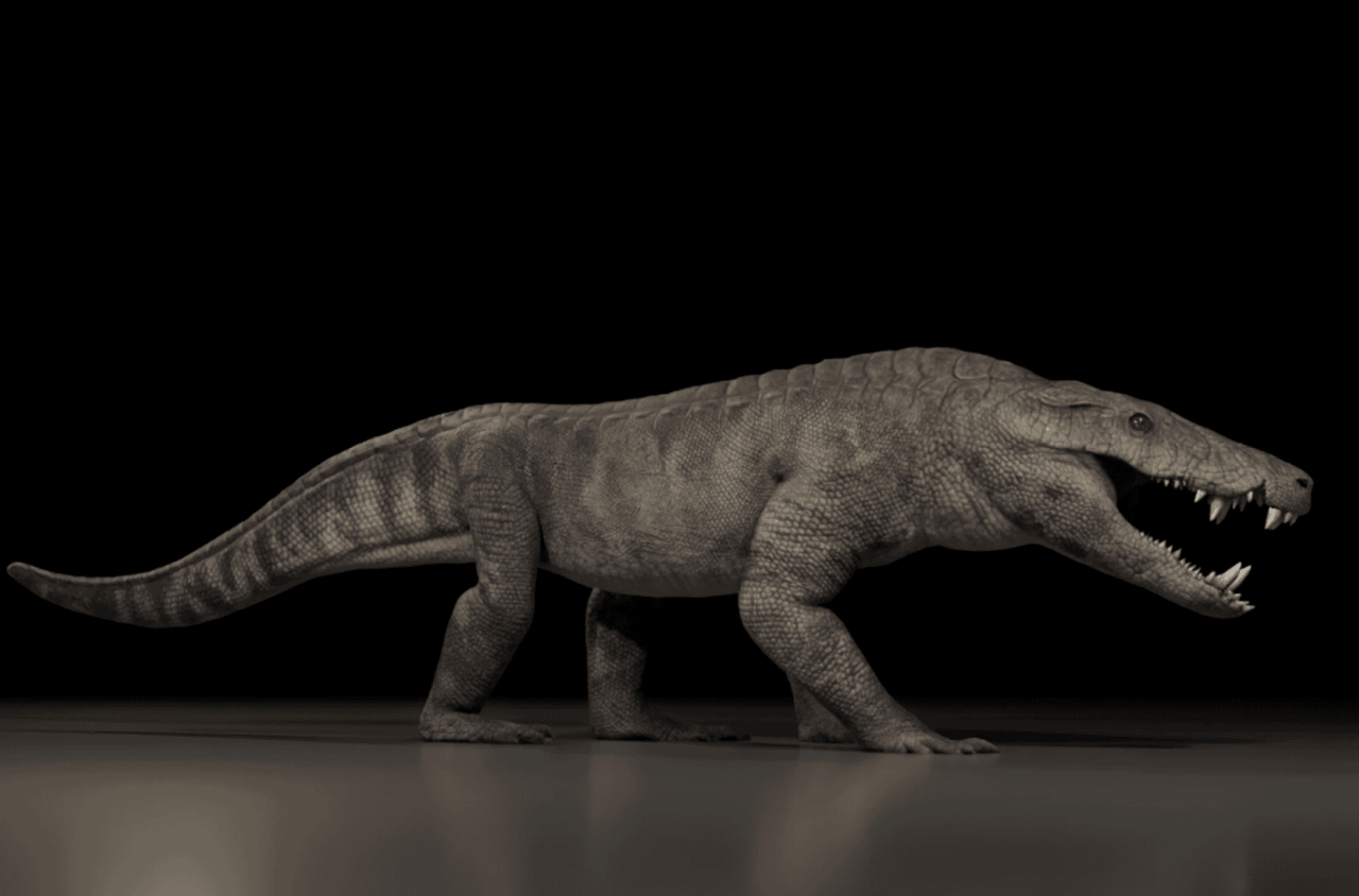 patagonia-pre-historica:-predador-“hipercarnivoro”-pesava-250-kg