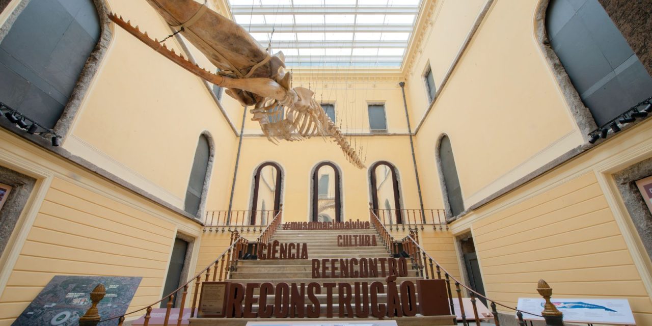 museu-nacional-realiza-no-domingo-setima-edicao-de-festival