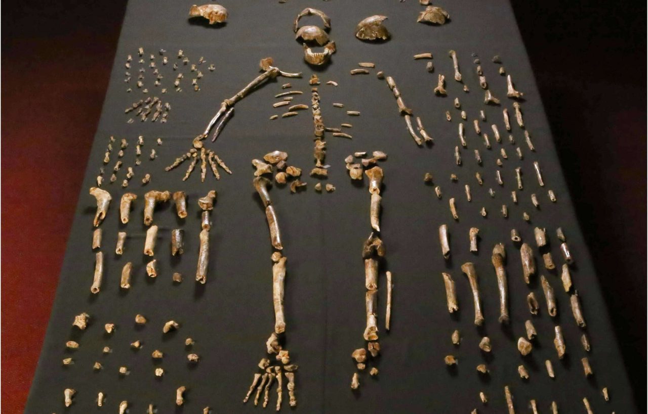 homo-naledi:-revisao-de-estudo-reacende-debate-sobre-sepultamentos