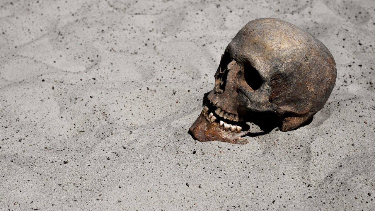 o-misterio-do-cranio-perdido-(ou-roubado)-de-william-shakespeare