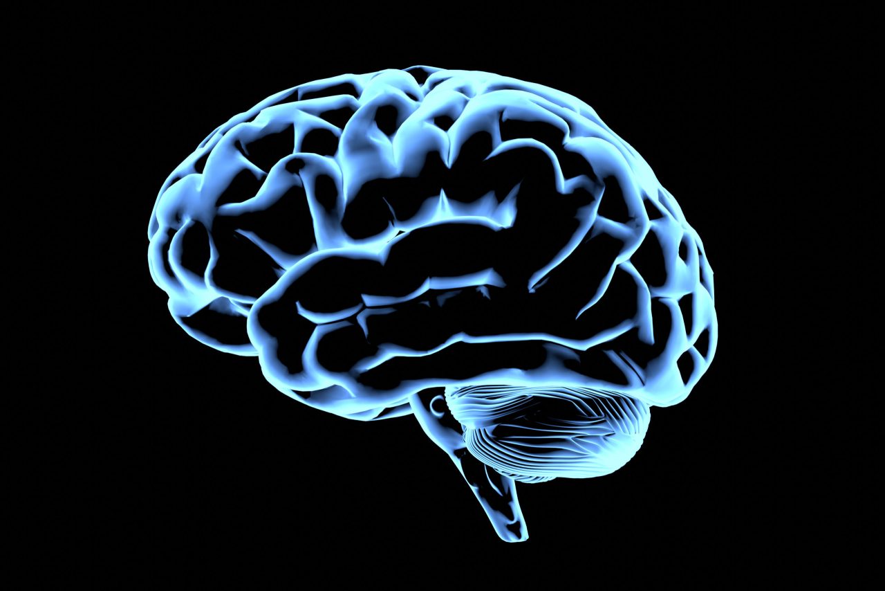 minicerebros-brasileiros-cultivados-em-laboratorio-sao-usados-para-estudar-a-depressao