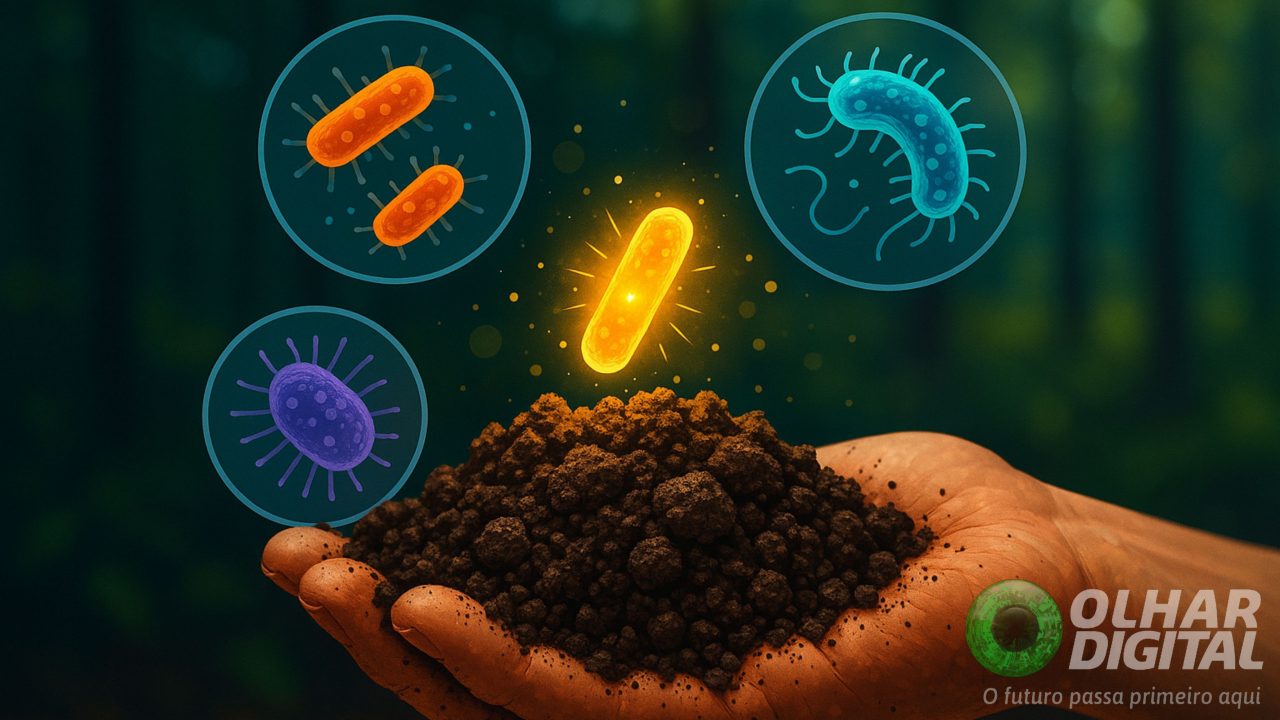 punhado-de-terra-escondia-antibioticos-contra-superbacterias,-revela-estudo