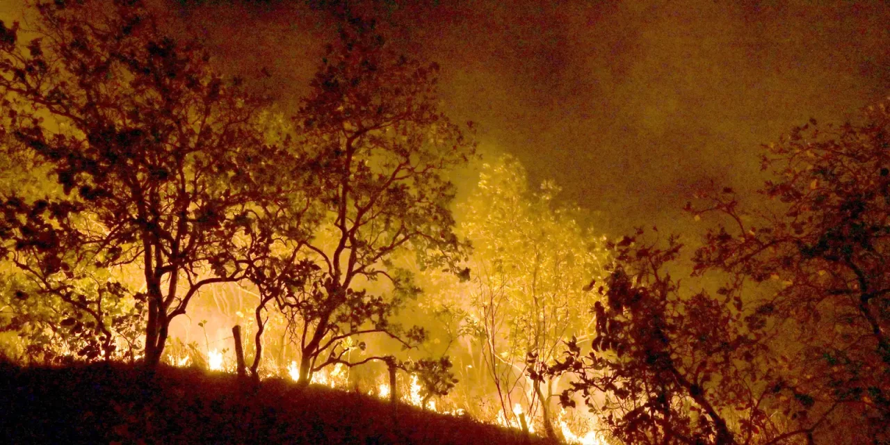 brasil-quer-neutralizar-emissao-de-gases-de-efeito-estufa-ate-2050
