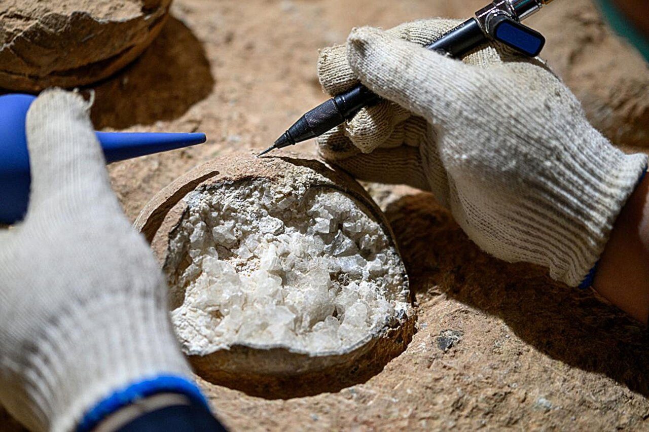 “relogio-atomico”-revolucionario-revela-idade-de-ovos-de-dinossauro