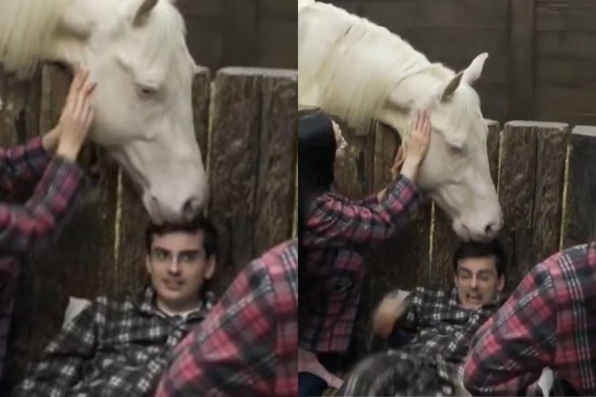 cavalo-ataca-dudu-camargo-em-a-fazenda:-“mordeu-para-arrancar-pedaco”