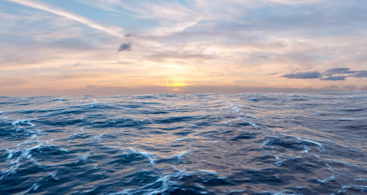lei-internacional-de-protecao-dos-oceanos-e-aprovada-–-saiba-quando-entra-em-vigor