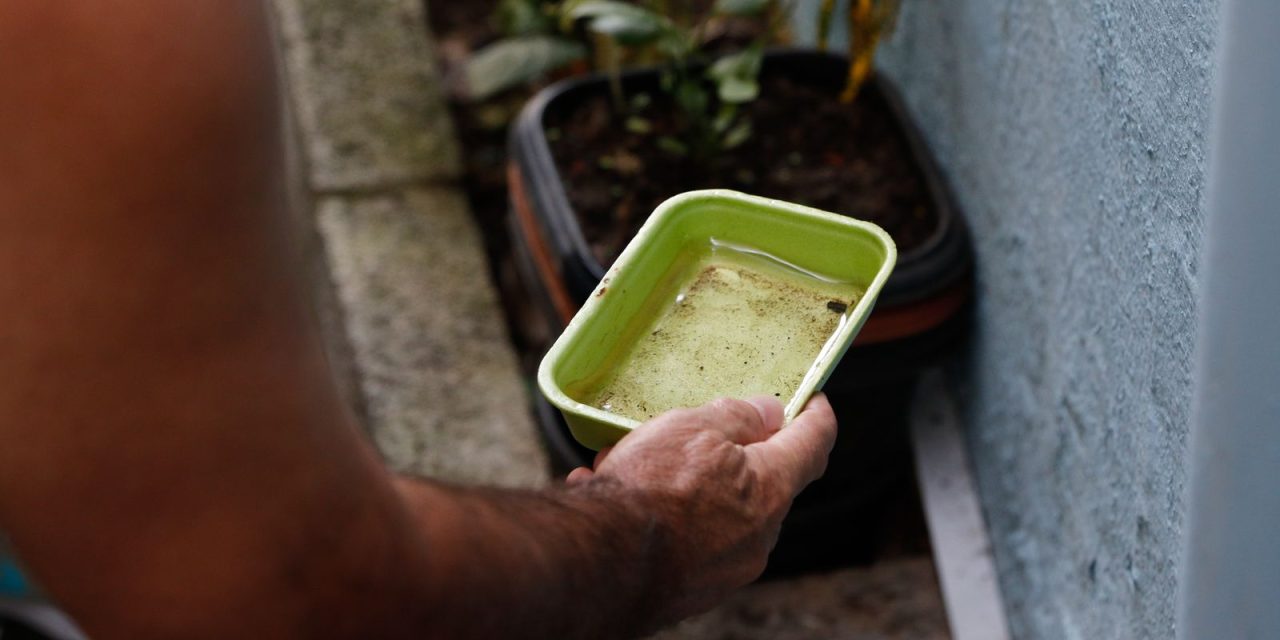chikungunya-traz-preocupacoes-apos-uma-decada-de-presenca-no-brasil