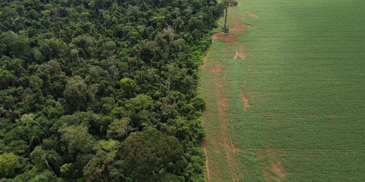 brasil-apresenta-solucoes-de-financiamento-climatico-em-nova-york