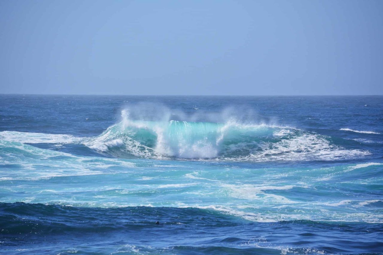 fenomeno-que-matou-milhoes-de-animais-no-pacifico-pode-estar-de-volta-–-e-muito-pior
