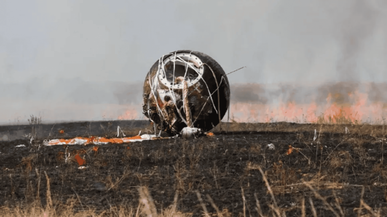 “arca-de-noe”-retorna-a-terra-com-mais-de-1,50-mil-moscas-e-75-camundongos
