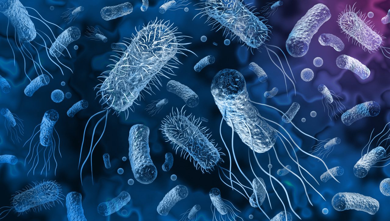 eua:-infeccoes-por-“bacterias-do-pesadelo”-crescem-70%