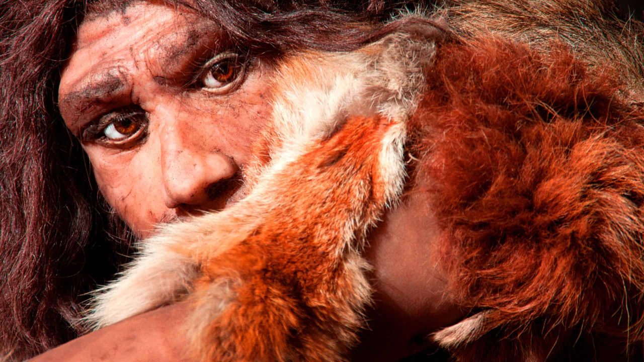 entrevista:-parece-que-a-historia-humana-nao-e-bem-como-pensavamos