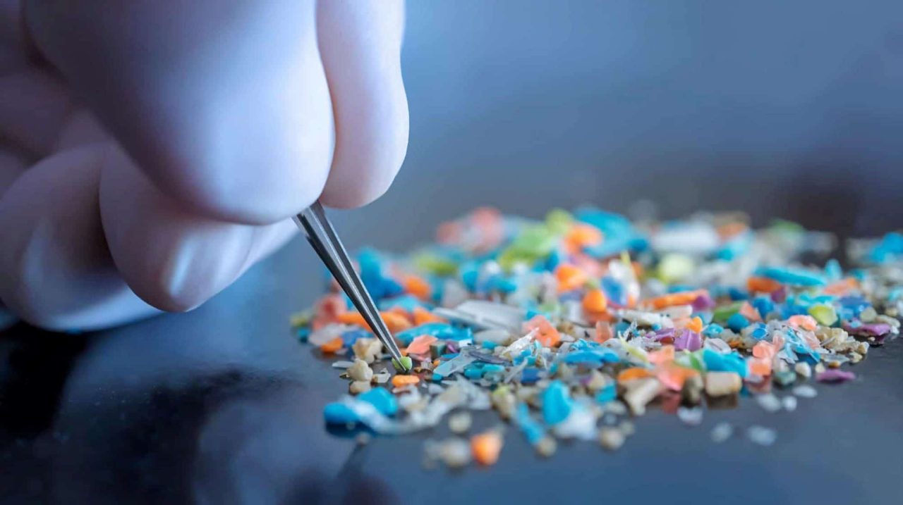 microplasticos-podem-enfraquecer-os-ossos,-revela-pesquisa