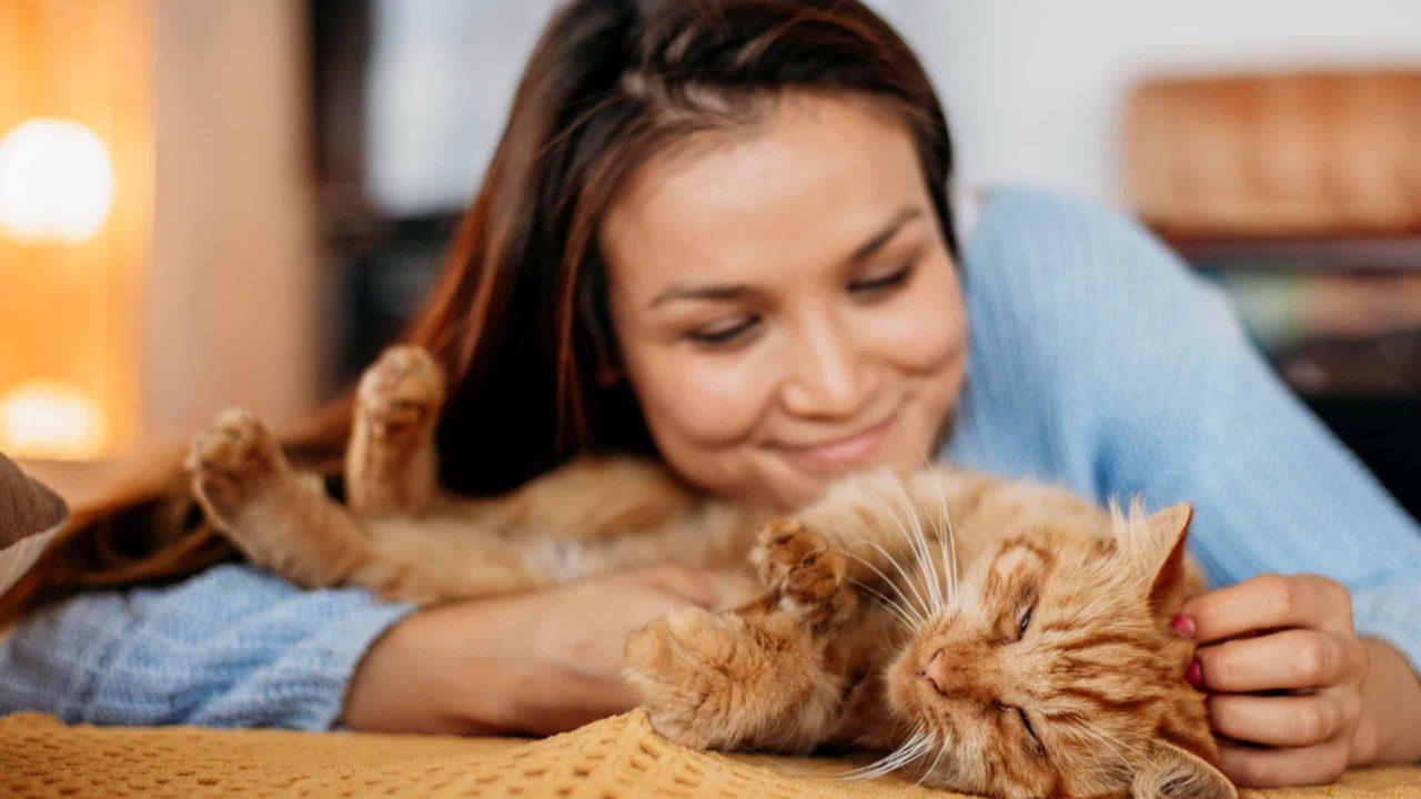 6-dicas-cientificas-para-conquistar-seu-gato