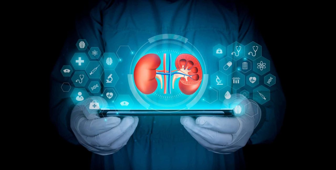 como-evitar-pedras-nos-rins?-veja-o-que-diz-a-medicina