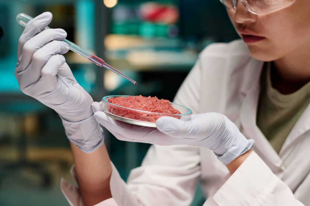 crie-carne-artificial-na-sua-casa-com-essa-maquina-japonesa