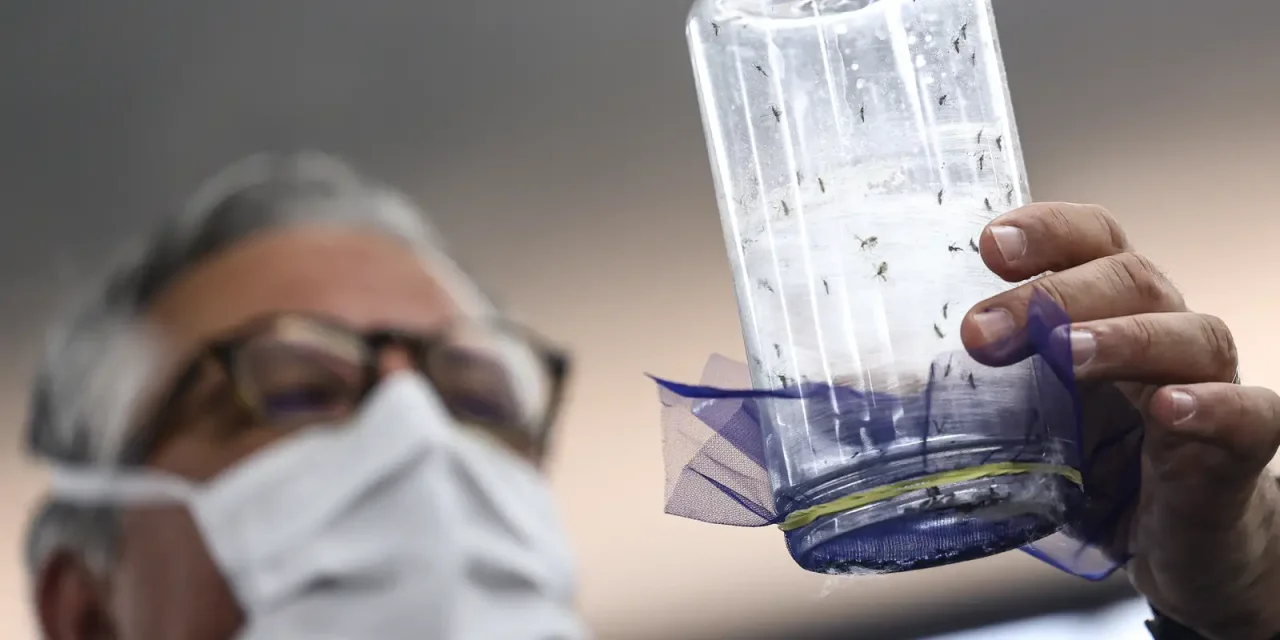 fabrica-de-mosquitos-oferece-tecnologias-para-reducao-da-dengue
