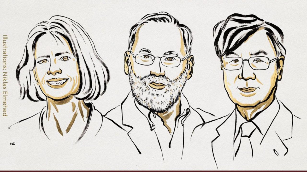 nobel-de-medicina-2025-vai-para-descobertas-sobre-‘freio’-do-sistema-imune