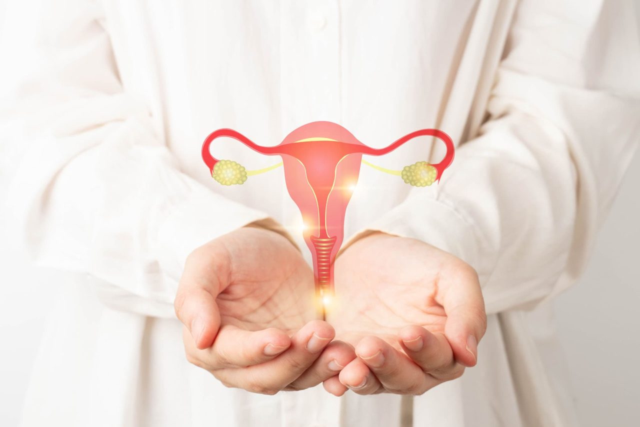 excesso-de-gordura-pode-acelerar-progressao-do-cancer-de-endometrio