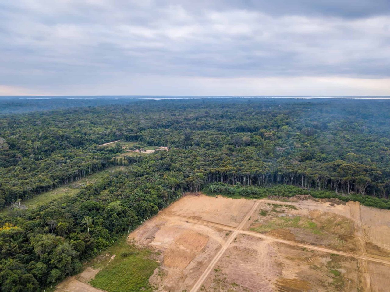 nova-ia-pode-ajudar-a-combater-desmatamento-na amazonia