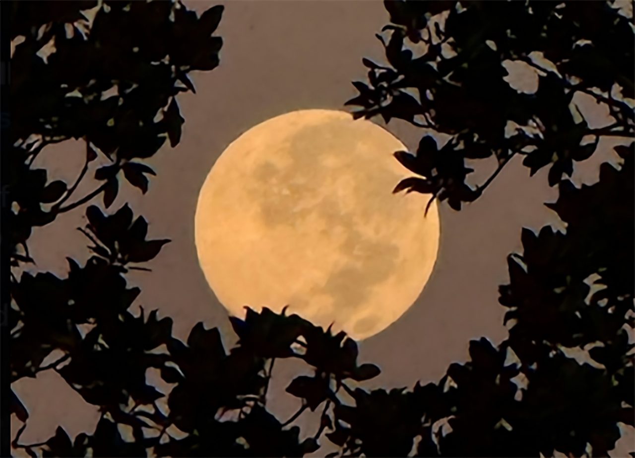veja-imagens-incriveis-da-primeira-superlua-de-2025