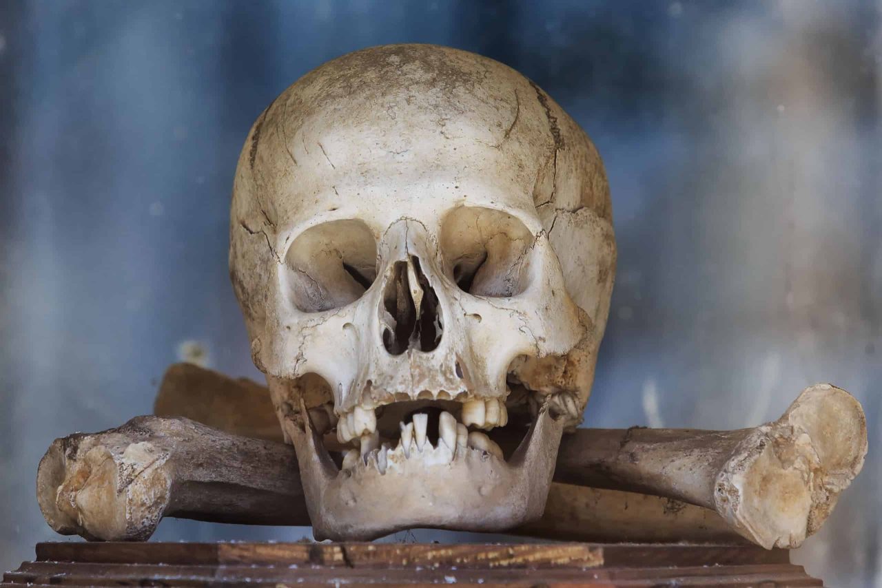 novo-estudo-questiona-o-“habito-mais-antigo-da-humanidade”