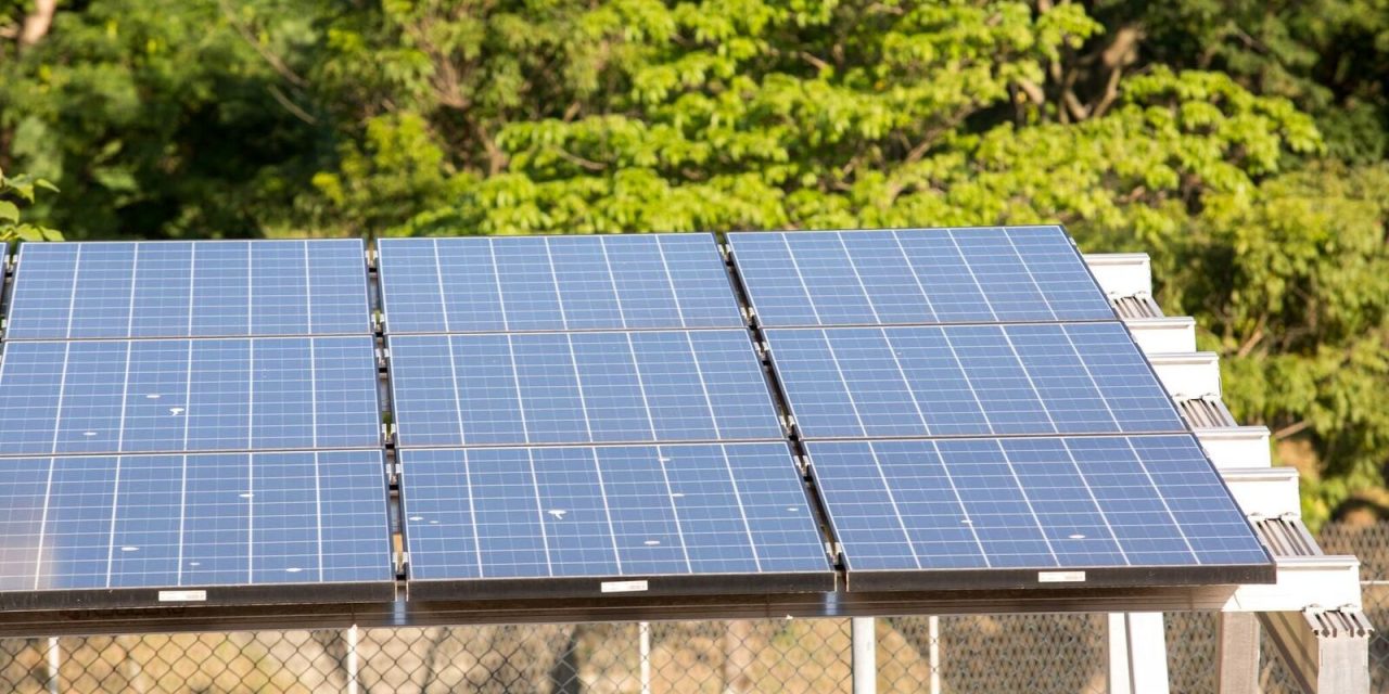 ceara:-associacao-alerta-para-avanco-de-usinas-solares-na-caatinga