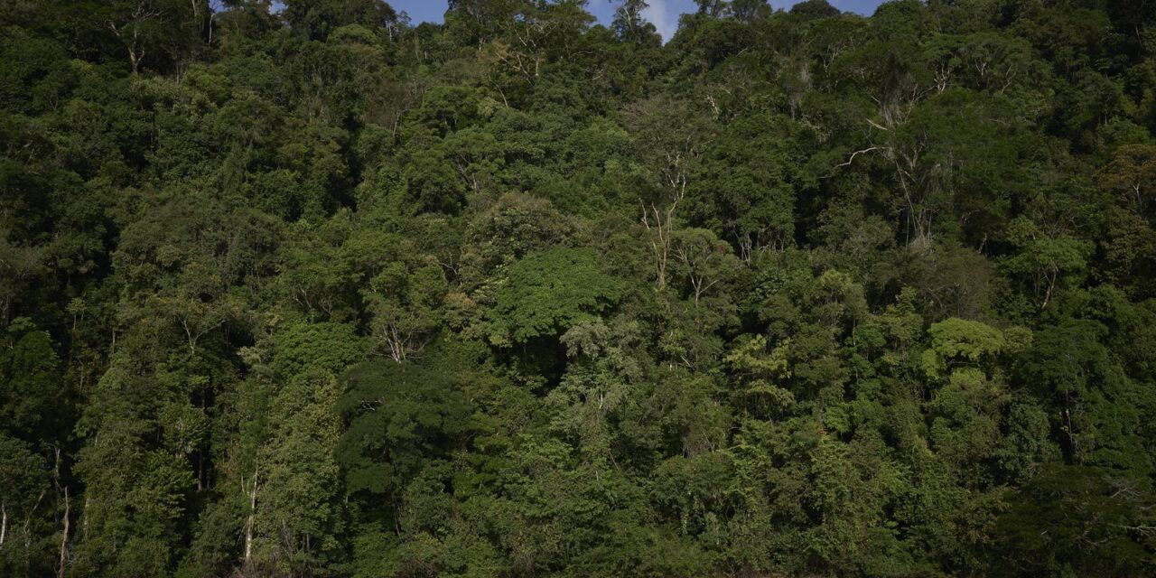 trilha-na-amazonia,-com-460-km,-sera-inaugurada-na-cop30
