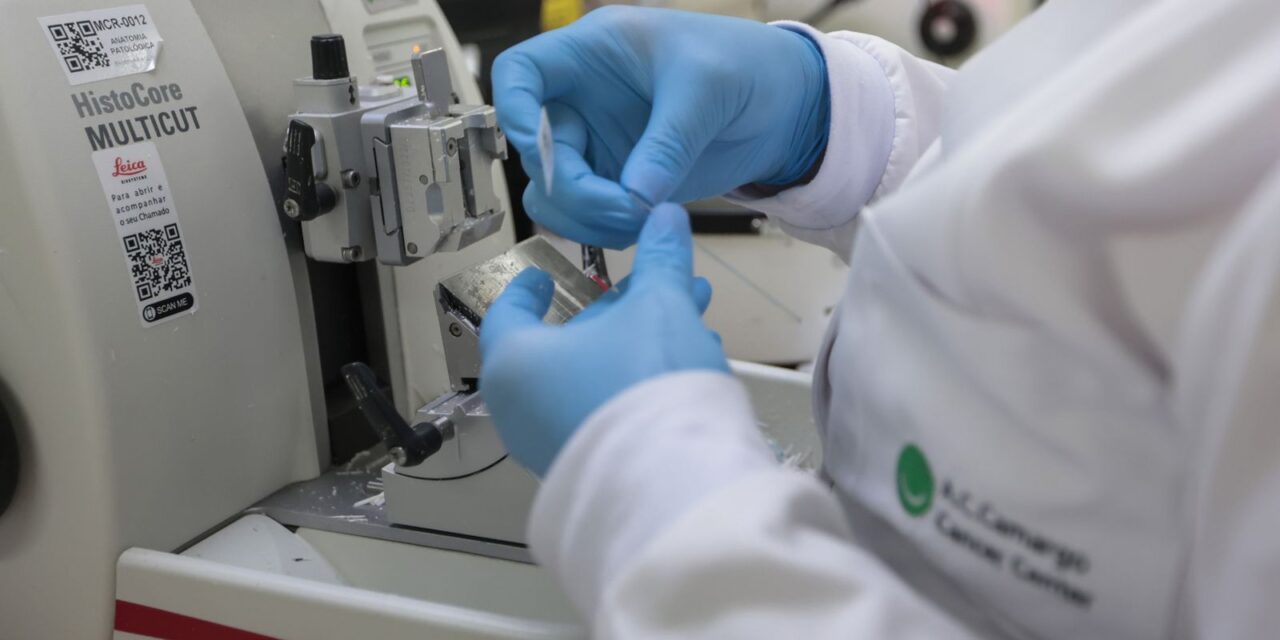 cura-de-cancer-de-prostata-pode-chegar-a-ate-98%