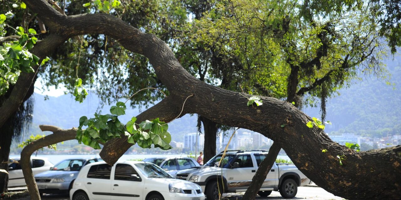 cidades-verdes,-do-ministerio-do-meio-ambiente,-recebe-323-iniciativas