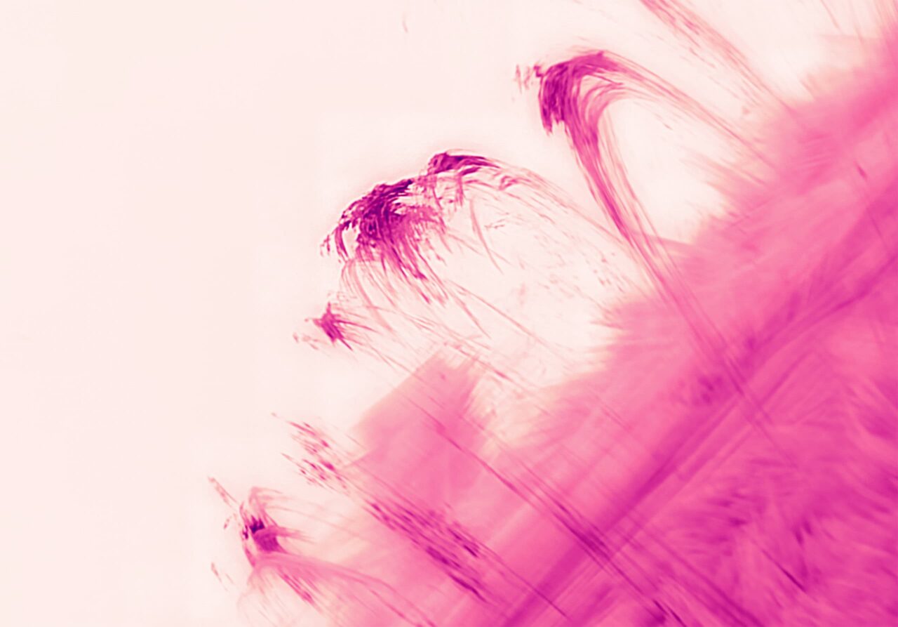 chove-no-sol?-entenda-como-isso-e-possivel