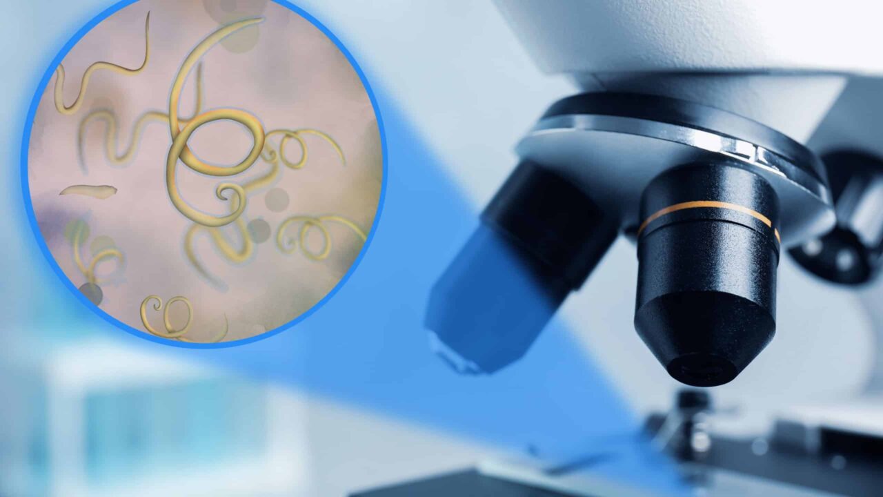 8-organismos-invisiveis-que-mantem-o-planeta-funcionando