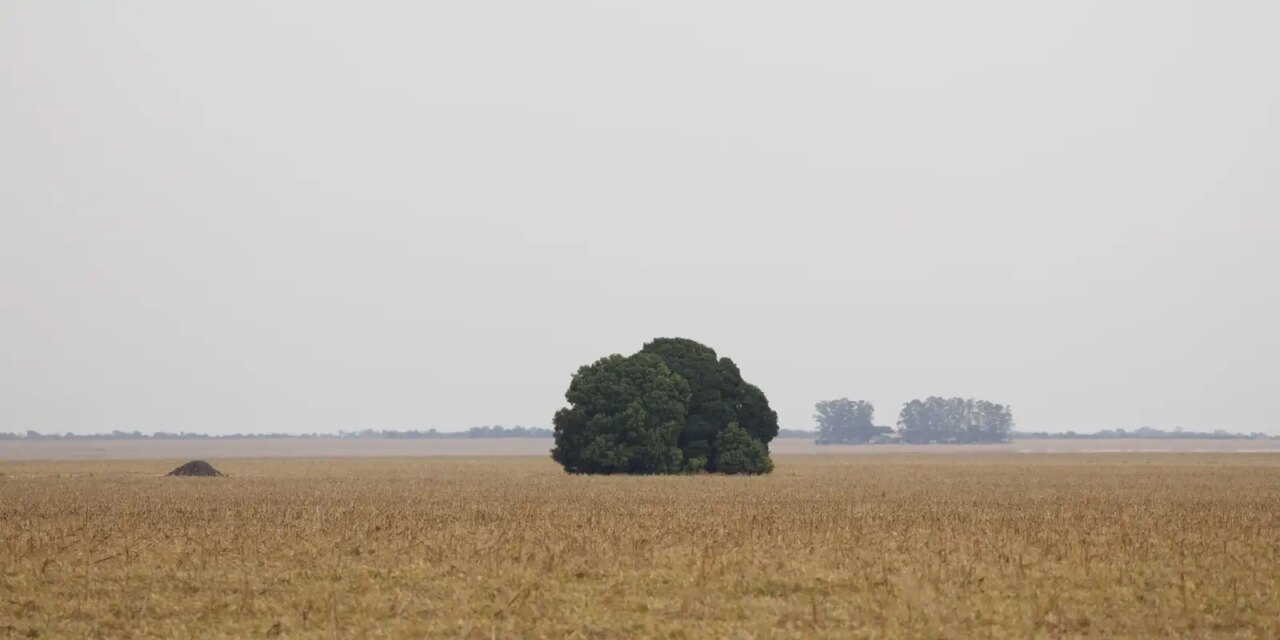 fronteira-cerrado:-o-agronegocio-entre-desenvolvimento-e-destruicao