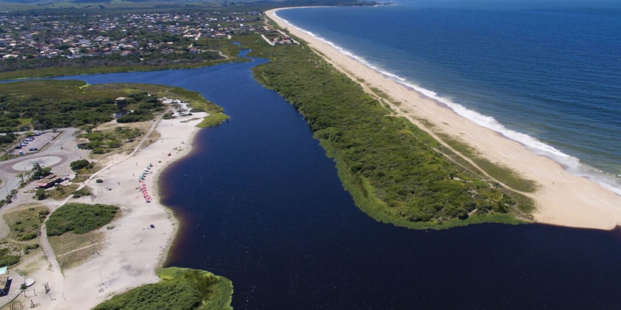 preservacao-da-mata-atlantica-e-destaque-no-summit-agenda-sp-+-verde
