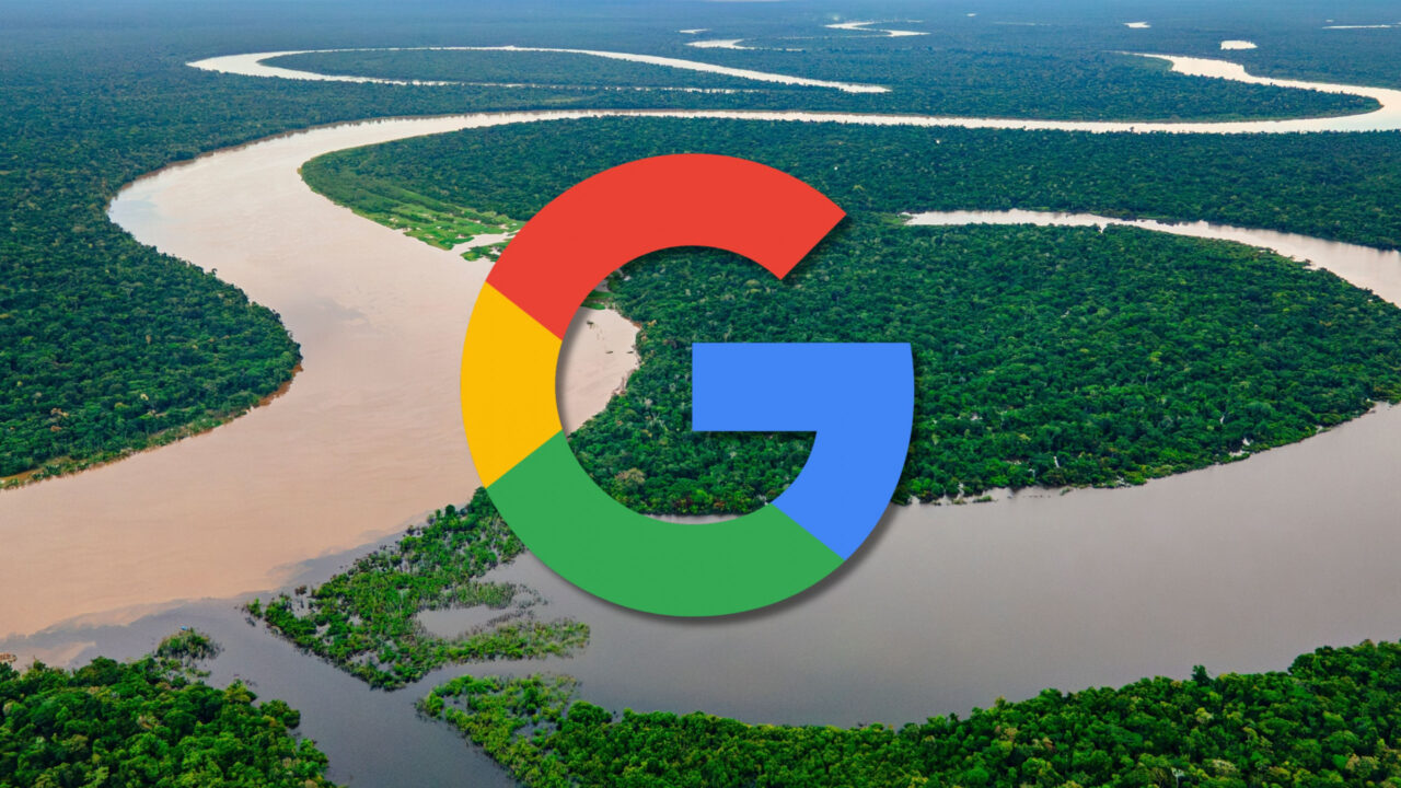 google-fecha-‘acordo-verde’-com-startup-brasileira-para-reflorestar-a-amazonia