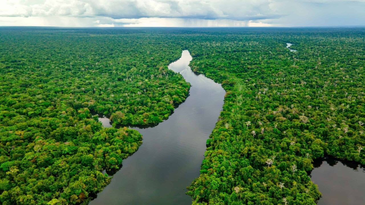 ocupacao-da-amazonia-por-povos-antigos-revela-licoes-de-sustentabilidade