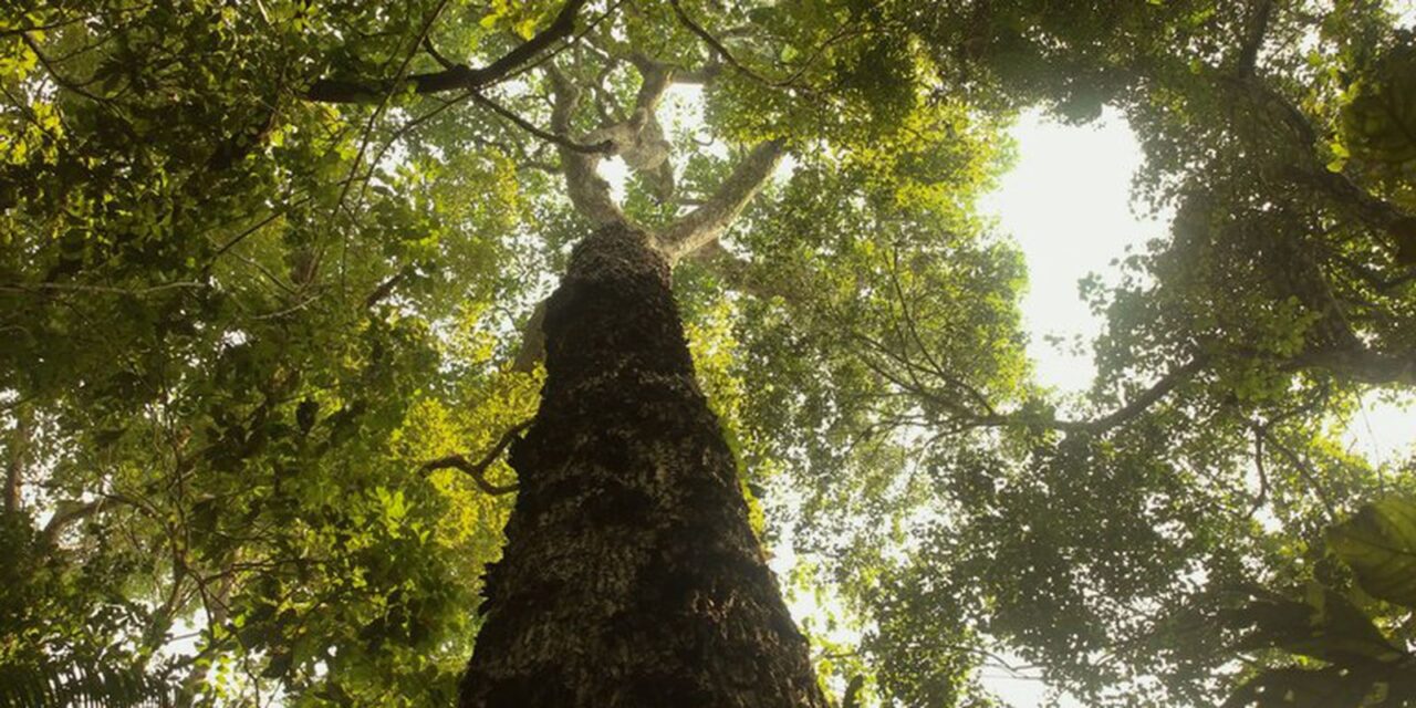 tv-brasil-estreia-nova-temporada-de-“parques-do-brasil”-neste-domingo