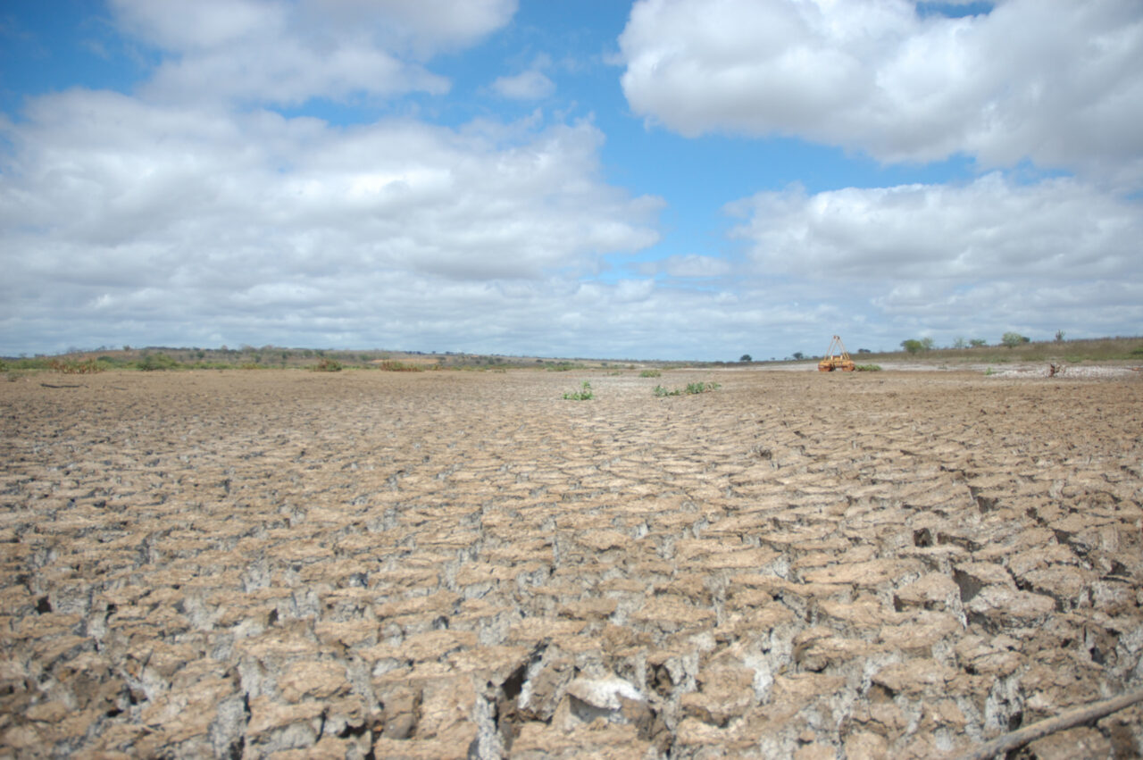alerta-na-cop30:-nordeste-pode-ter-clima-de-deserto-ate-2100