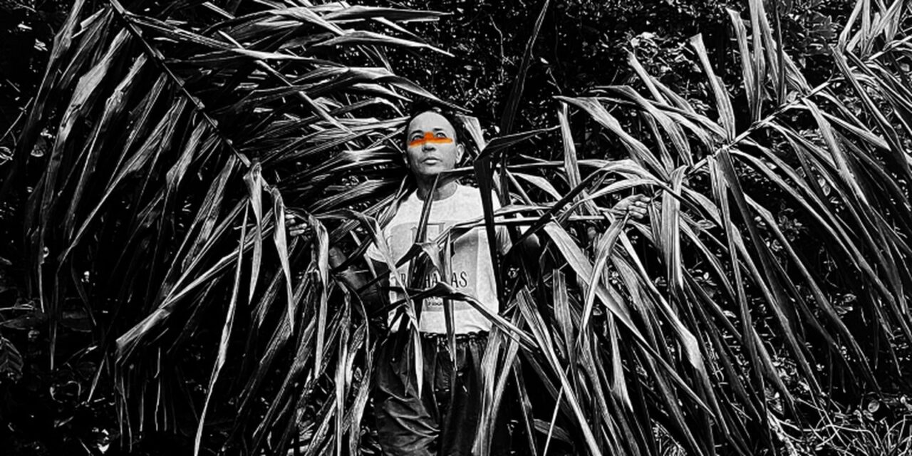 exposicao-em-sp-propoe-dialogos-sobre-genero,-sexualidade-e-natureza