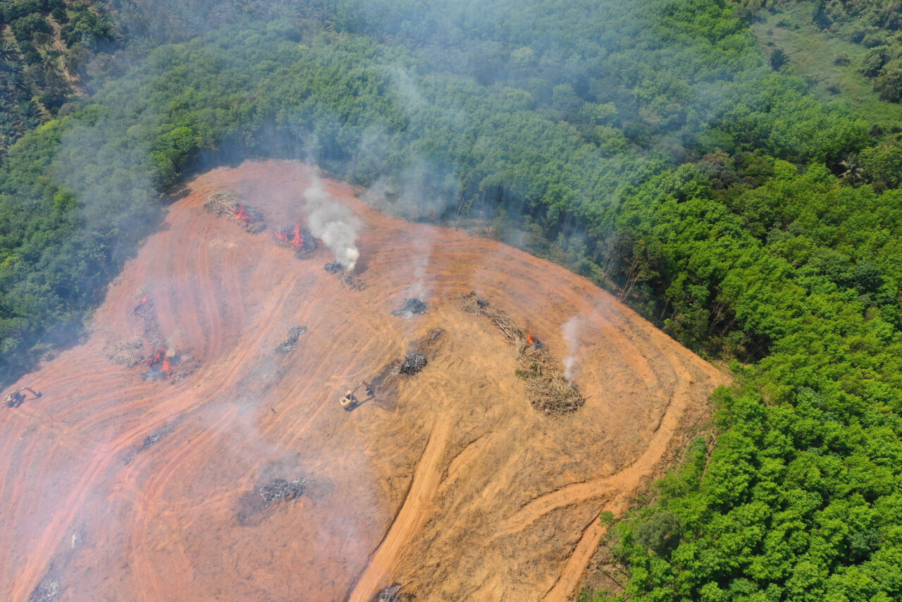 amazonia-vive-crise-ambiental-grave-em-plena-cop30